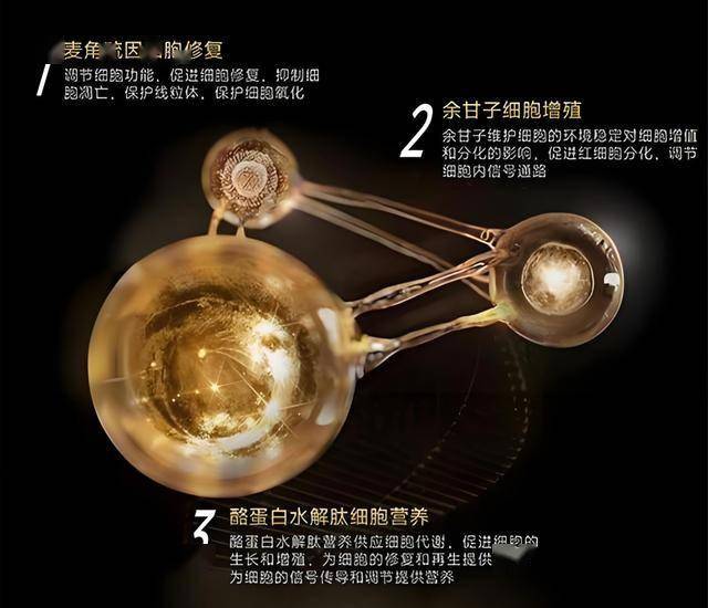 制定你的圣典，以信仰征服意大利！《成圣之道》现已正式上线